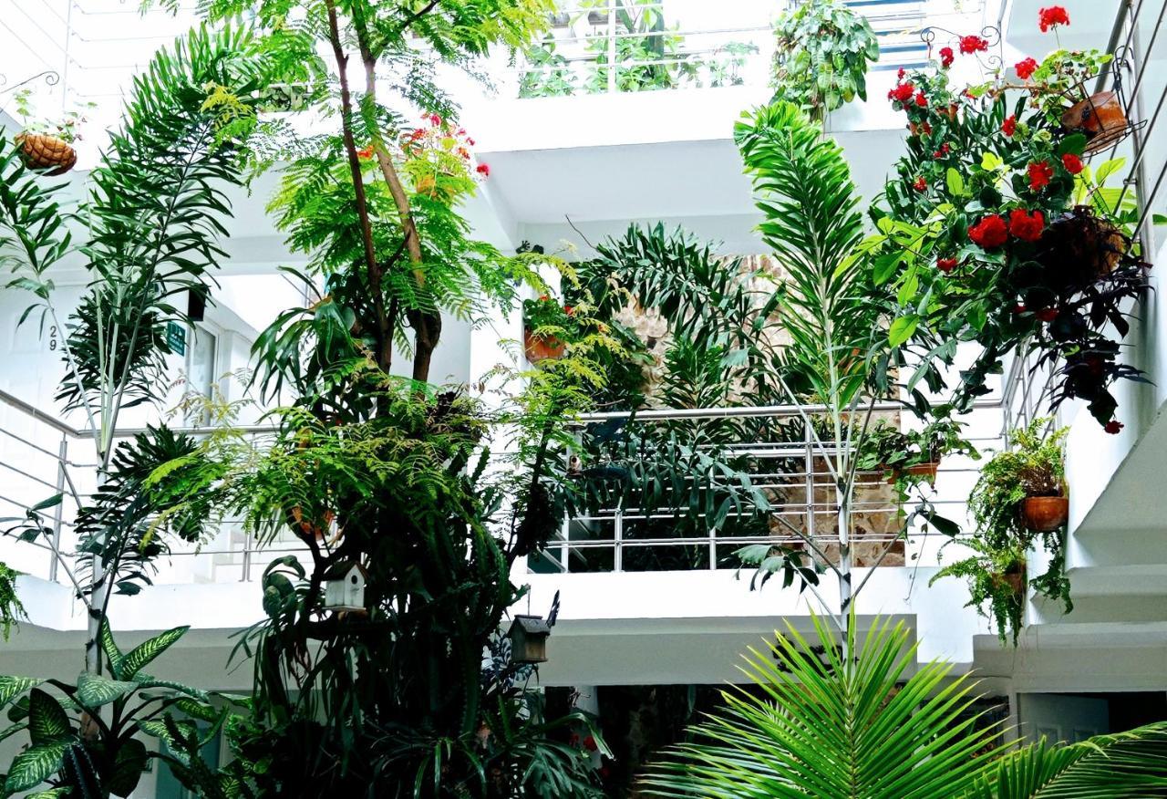 Hotel Boutique Los Remansos パルミラ エクステリア 写真
