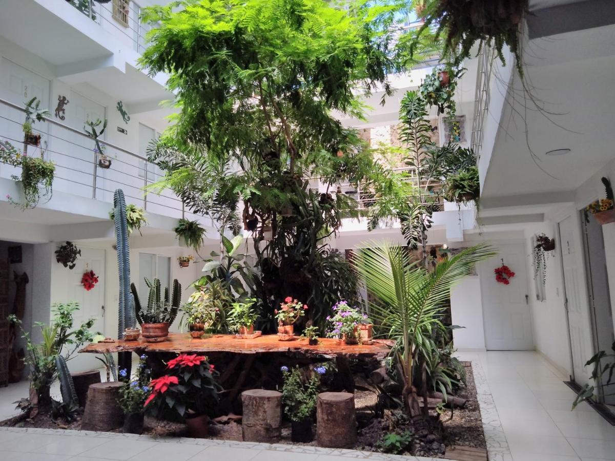 Hotel Boutique Los Remansos パルミラ エクステリア 写真